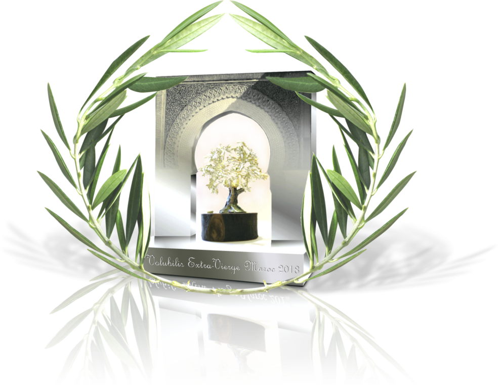 È giunto alla decima edizione il Premio Extra Virgin Volubilis Marocco