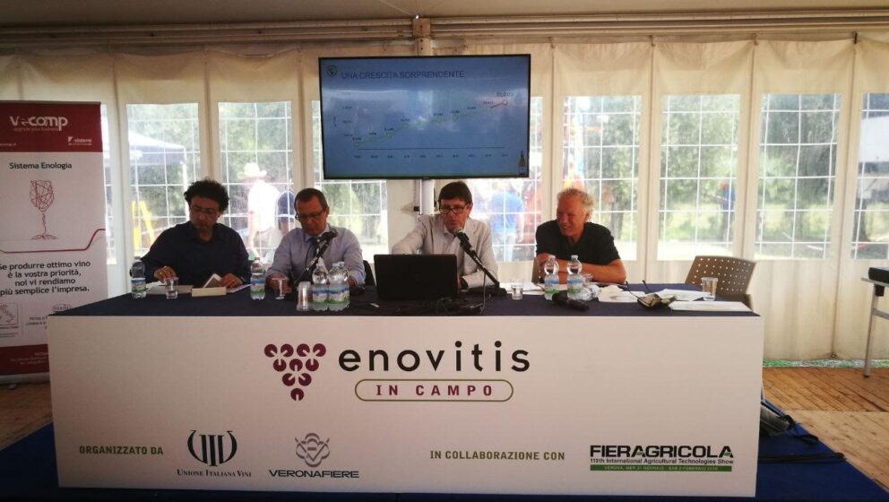 Pinot Grigio delle Venezie: evoluzione qualitativa e aspettative di mercato, un convegno a Enovitis