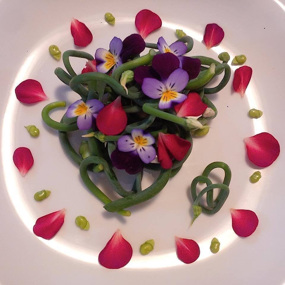 Puntarelle di cipolla egiziana ligure in insalata, con favette fresche e viole del pensiero