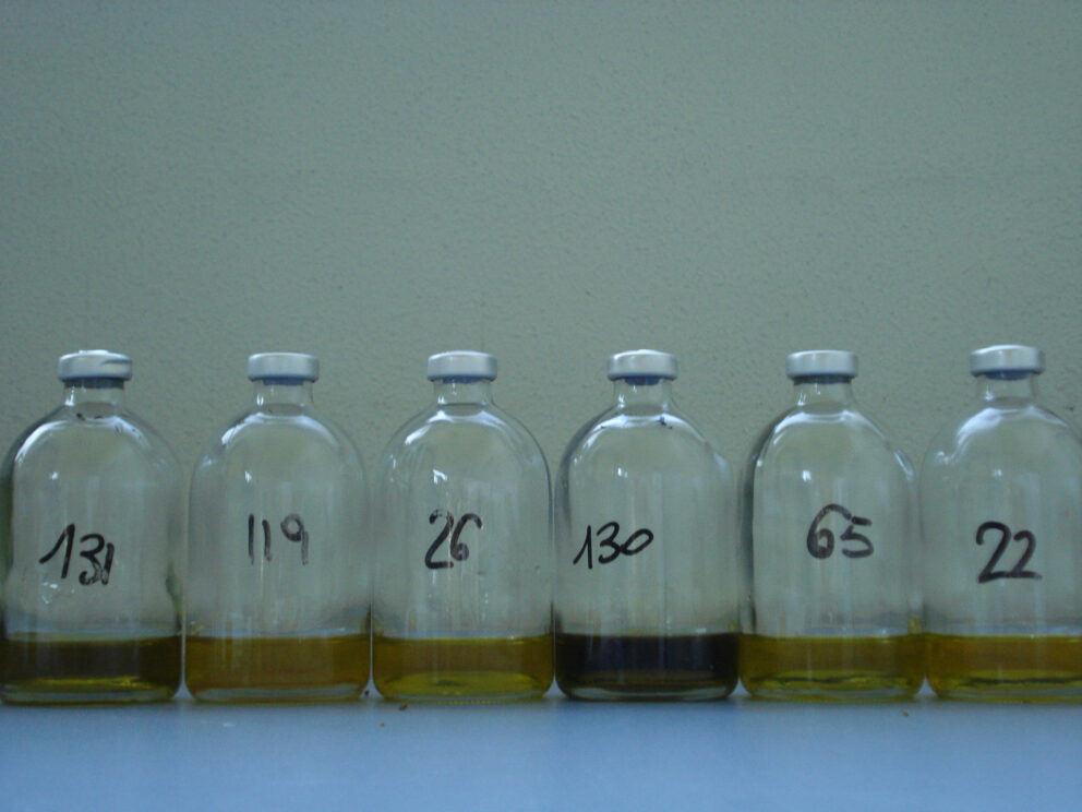 Polifenoli dell’olio di oliva