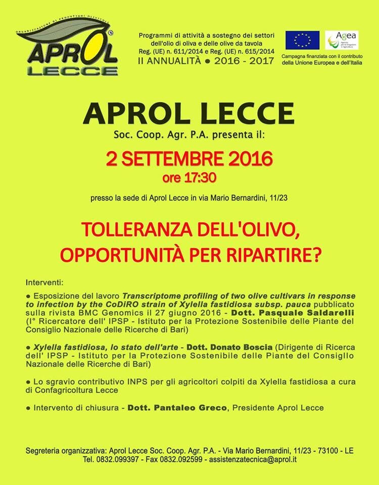 Xylella, un incontro a Lecce sulla tolleranza dell’olivo e le opportunità per ripartire