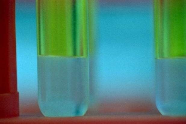 La verità sul test del DNA dell’olio