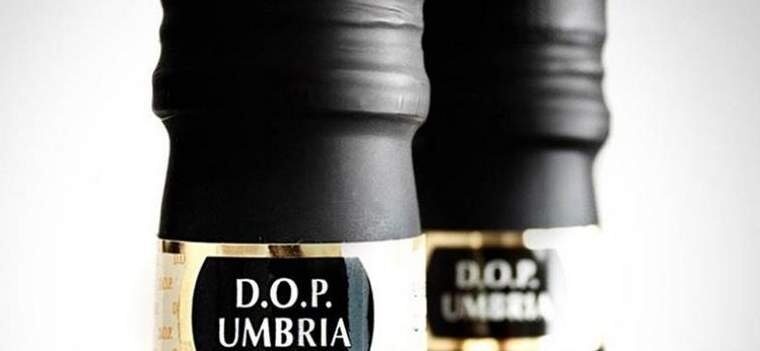 Consorzio Olio Dop Umbria, prende il via il progetto La Fenice D’Oro
