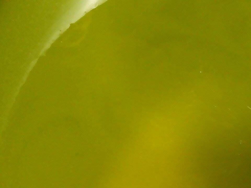 Comunicare bene l’olio da olive