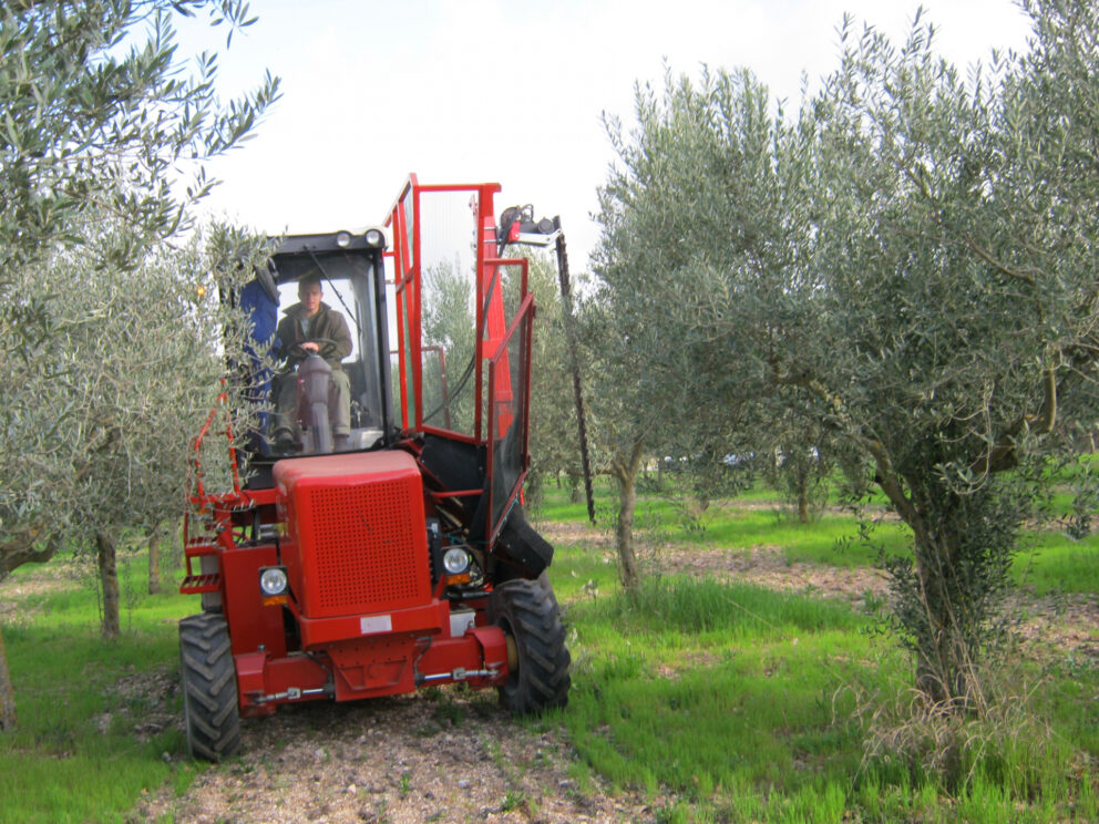 La macchina multiuso per gli olivi