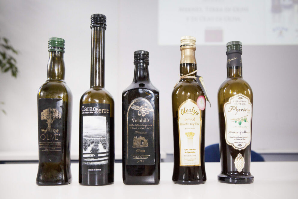 Dove va l’olivicoltura?