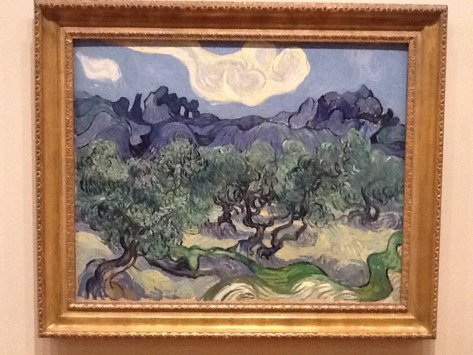 Van Gogh, l’uomo e la terra