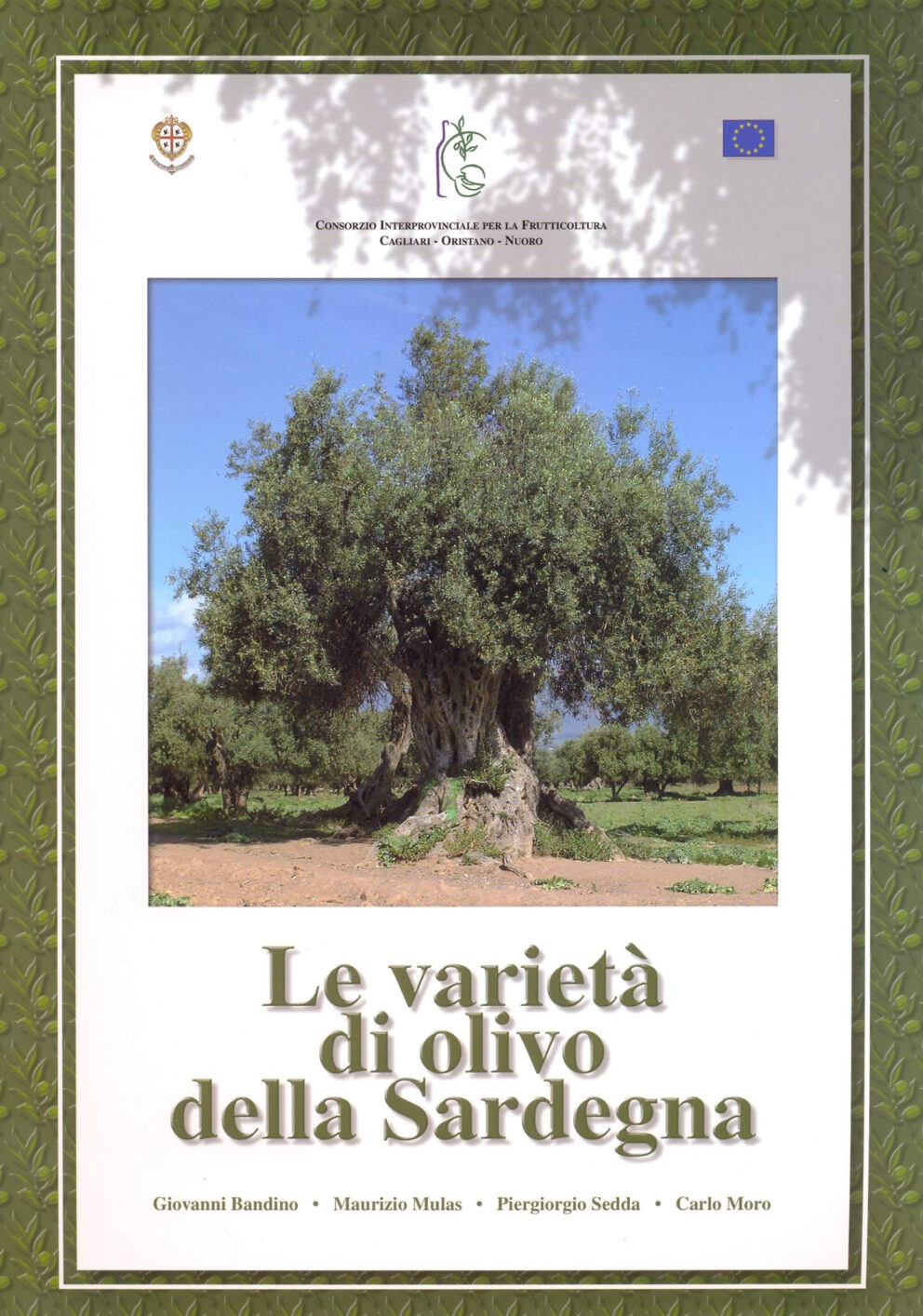 Le varietà di olivo della Sardegna