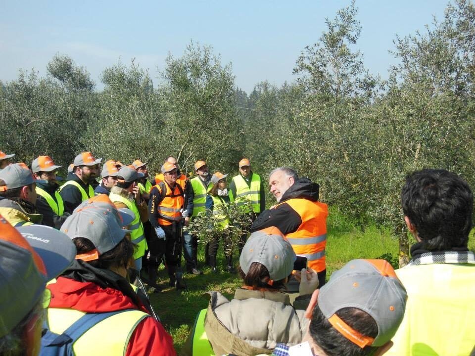 Imparare a potare fa star bene