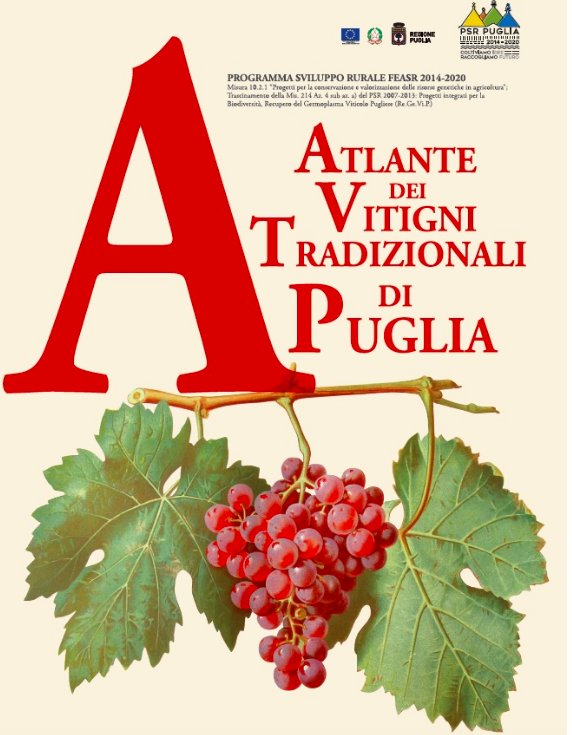 L’Atlante dei vitigni tradizionali di Puglia ha ricevuto il premio OIV 2019 nella sezione Ampelography