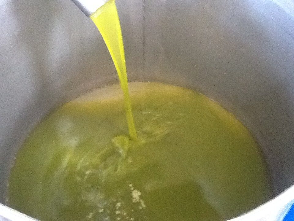 Allarme frodi olio di oliva? Tutto basato solo su rumors