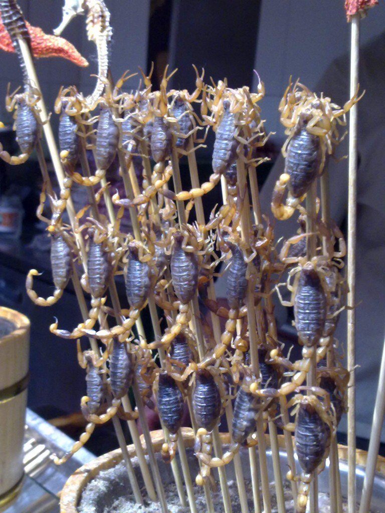 E quest’oggi a pranzo vespe fritte. O forse preferite scorpioni alla brace?