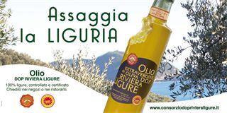 Un buon olio della Riviera Ligure in omaggio a Nico Orengo