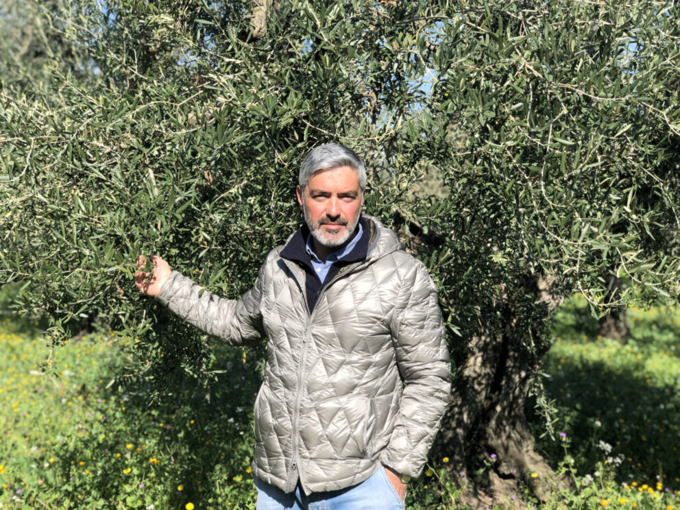 Si scaldano i motori per far volare l’olio attraverso l’e-commerce