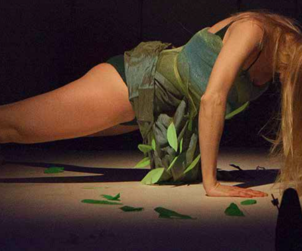 Una pianta di olivo nasce