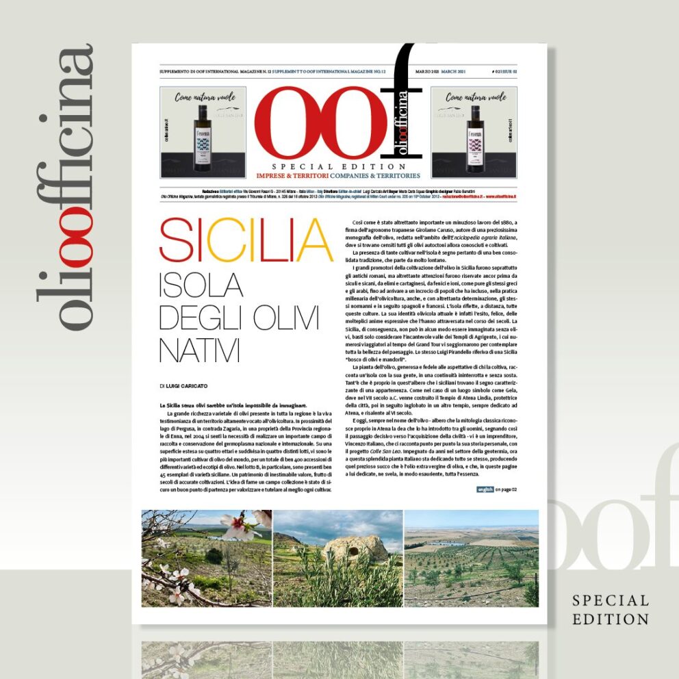 Sicilia. Isola degli olivi nativi