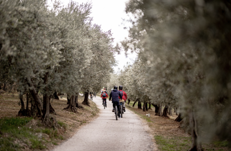 Per gli amanti della natura ora c’è l’E-Bike tra gli ulivi