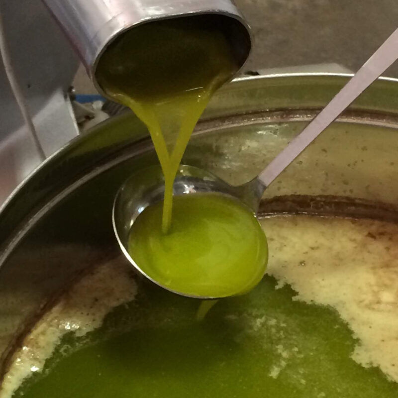 A Hospitality spazio anche per l’olio extra vergine di oliva