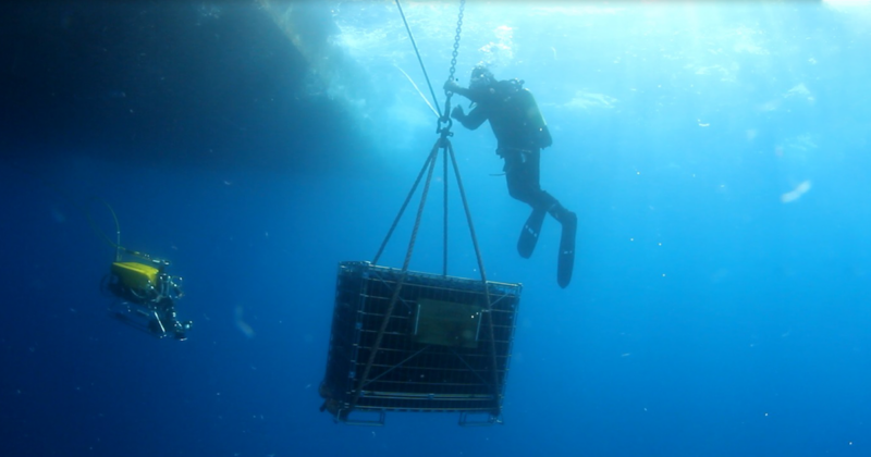 Futuri scenari del vino nelle profondità marine. Vale anche per l’olio?