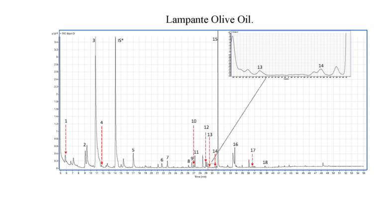 6 – 2023-03-16 alle 08.57.26