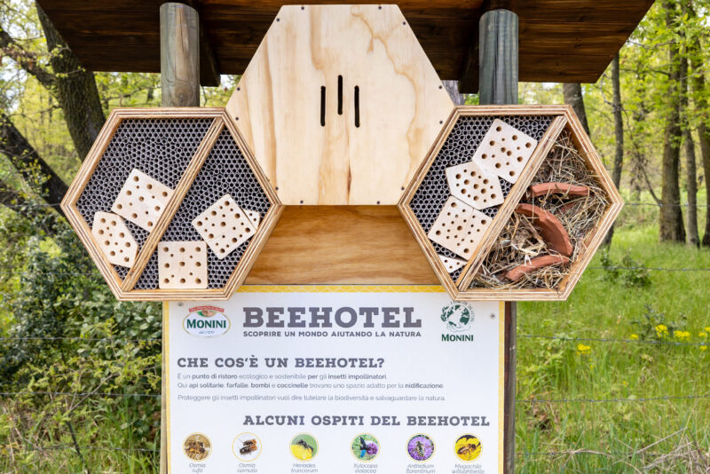 Ci pensano le api a dimostrare lo stato di salute della biodiversità