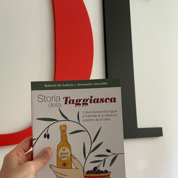 Quante cose da dire e da scoprire sull’oliva Taggiasca