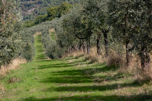 Tutelare l’ambiente è compito di tutti: l’impegno concreto di Costa d’Oro