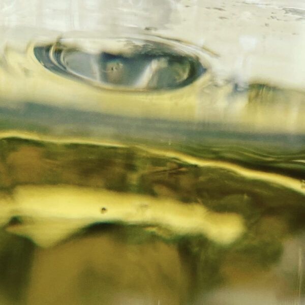 La seconda vita degli scarti di produzione di distillati nell’ottica dell’economia circolare 