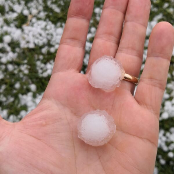 Una voce comune delle donne dell’agricoltura per fronteggiare la crisi climatica
