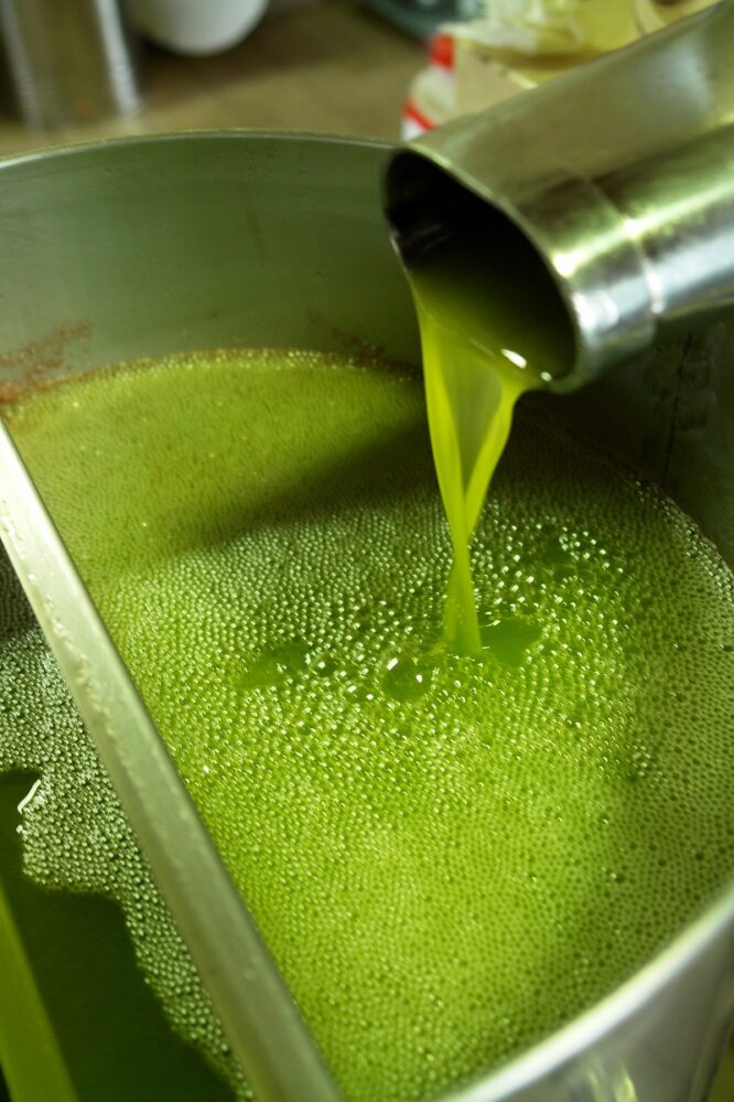 Cosa ha a che fare lo squalene con gli oli extra vergini di oliva?
