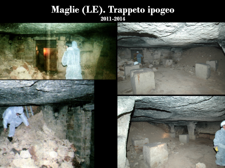 i musei della produzione olearia