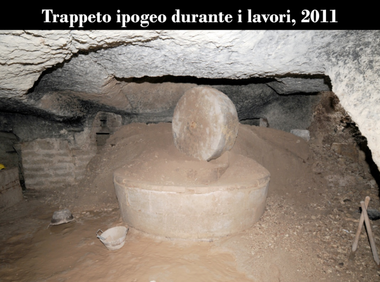 i musei della produzione olearia