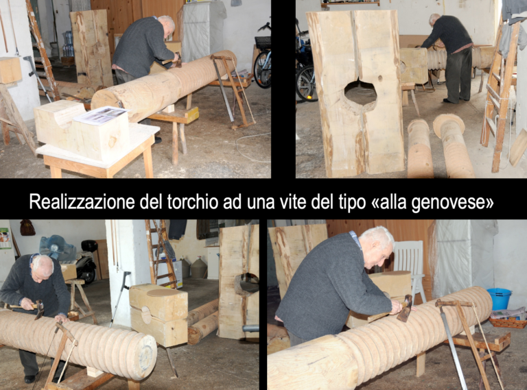 i musei della produzione olearia