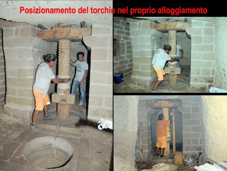 i musei della produzione olearia