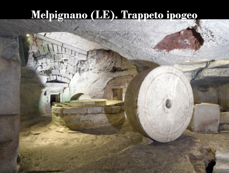 i musei della produzione olearia