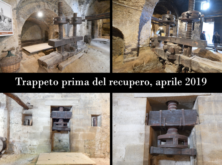 i musei della produzione olearia