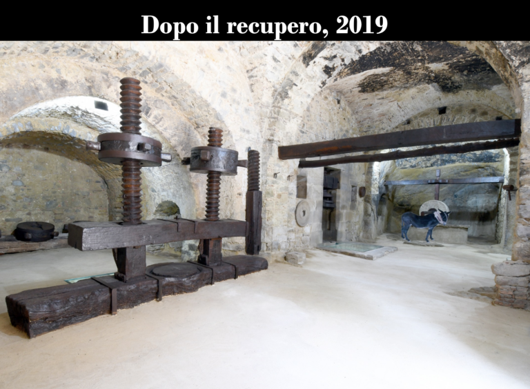 i musei della produzione olearia