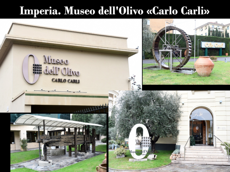 musei della produzione olearia