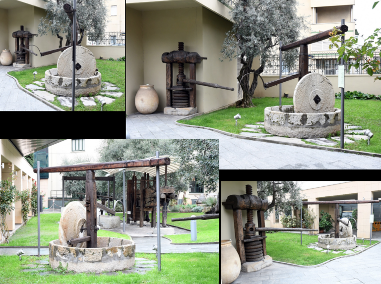 musei della produzione olearia