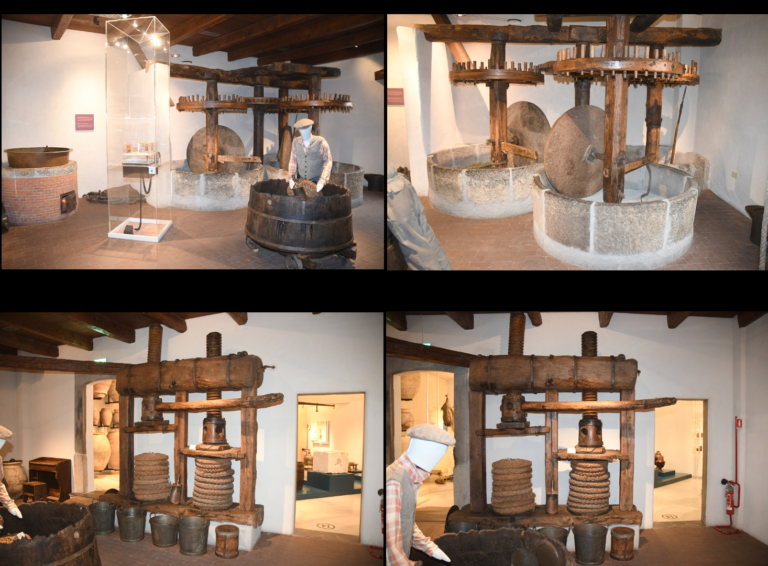 musei della produzione olearia