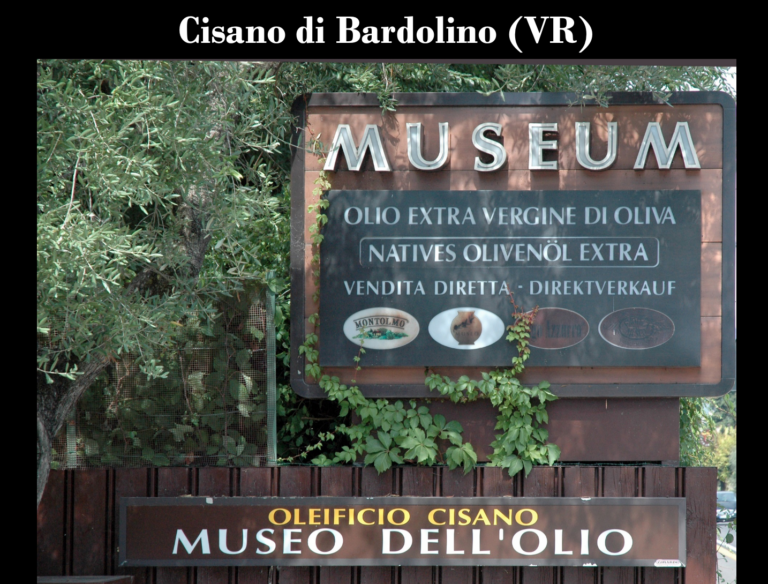 musei della produzione olearia