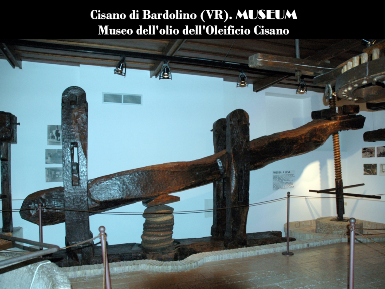 musei della produzione olearia