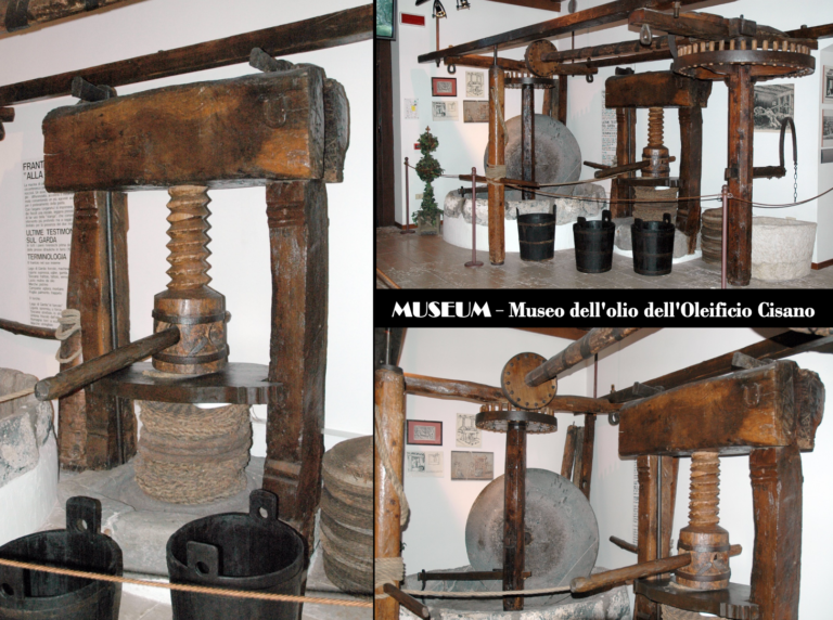 musei della produzione olearia