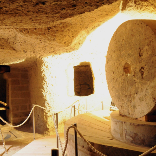 I musei della produzione olearia sono incubatori di popoli e cultura