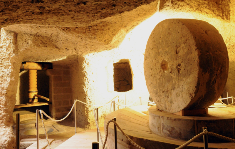 I musei della produzione olearia sono incubatori di popoli e cultura