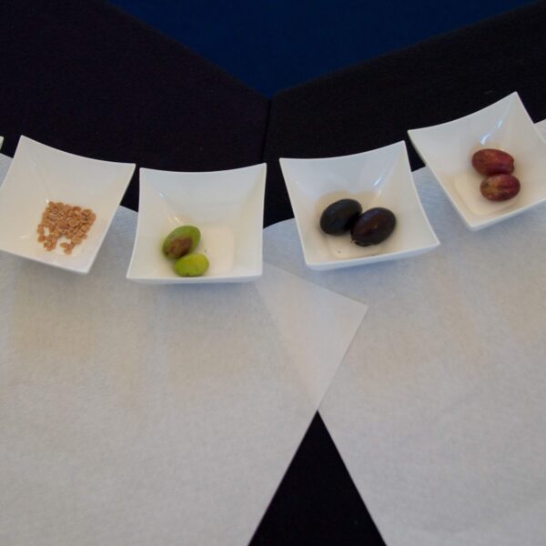 Monitoraggio microbiologico di olive da tavola commerciali