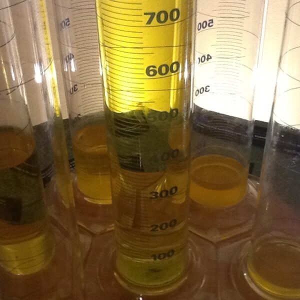 C’è una borsa di dottorato sull’analisi dei composti volatili negli oli vergini di oliva