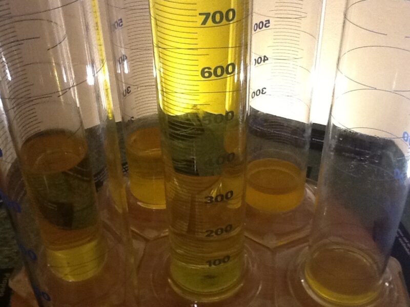 C’è una borsa di dottorato sull’analisi dei composti volatili negli oli vergini di oliva