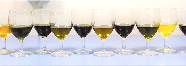 L’olio di semi di canapa spremuto a freddo: composizione, qualità e autenticità