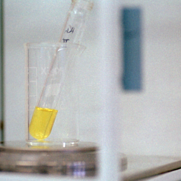 Gli scenari futuri tra ricerca e innovazione nel campo delle sostanze grasse